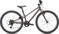 Satin Smoke Flake Silver 24 Bike Q9413