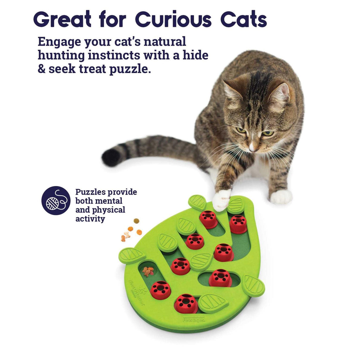 Cat Toy O619426