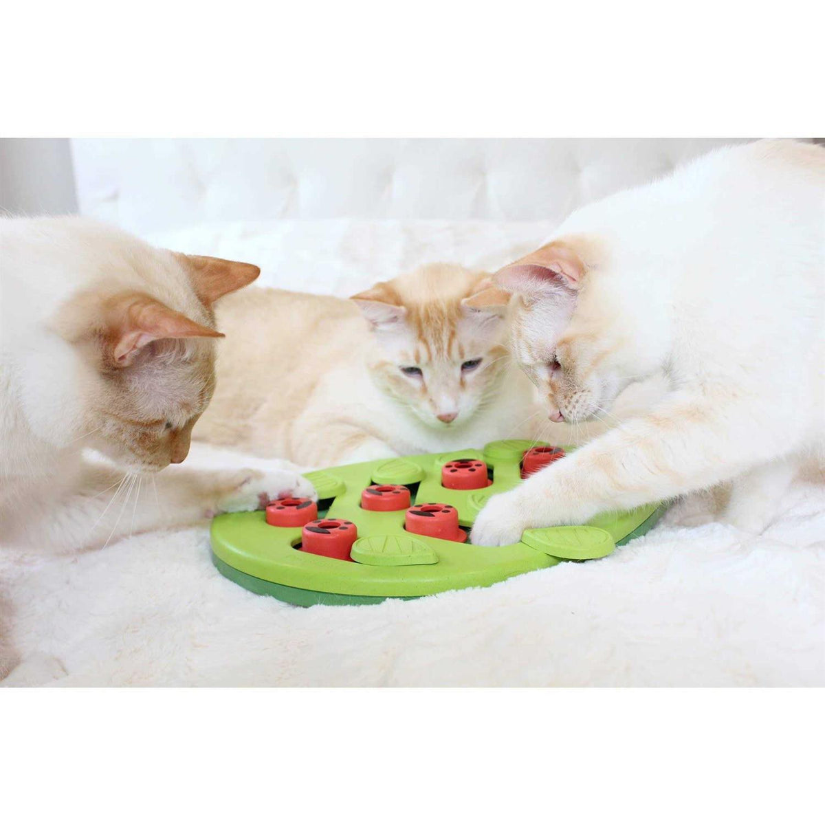 Cat Toy O619426