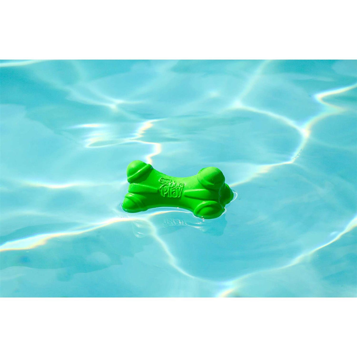 Squeaky Latex Dog Toy W83101