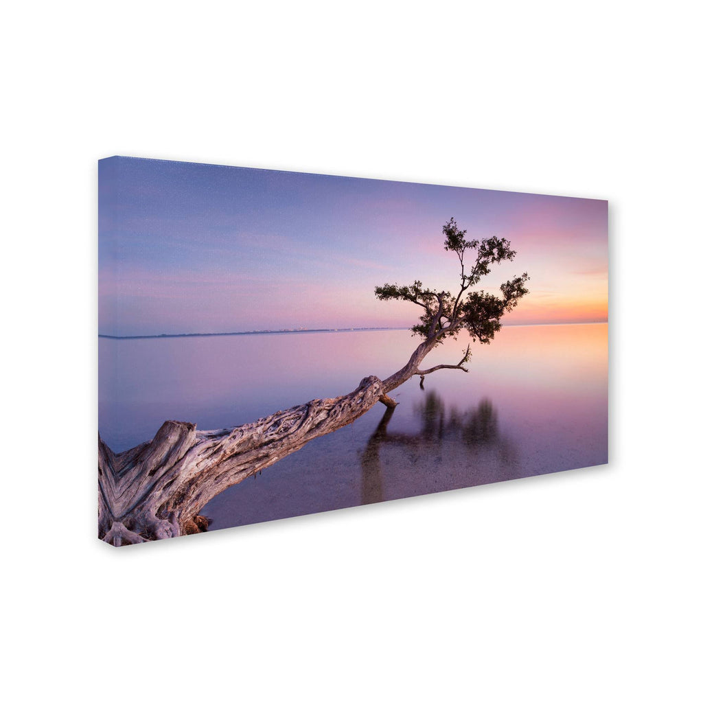 Canvas Art R63412