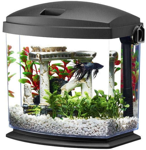 1 Gallon Betta Bow Aquarium N5200